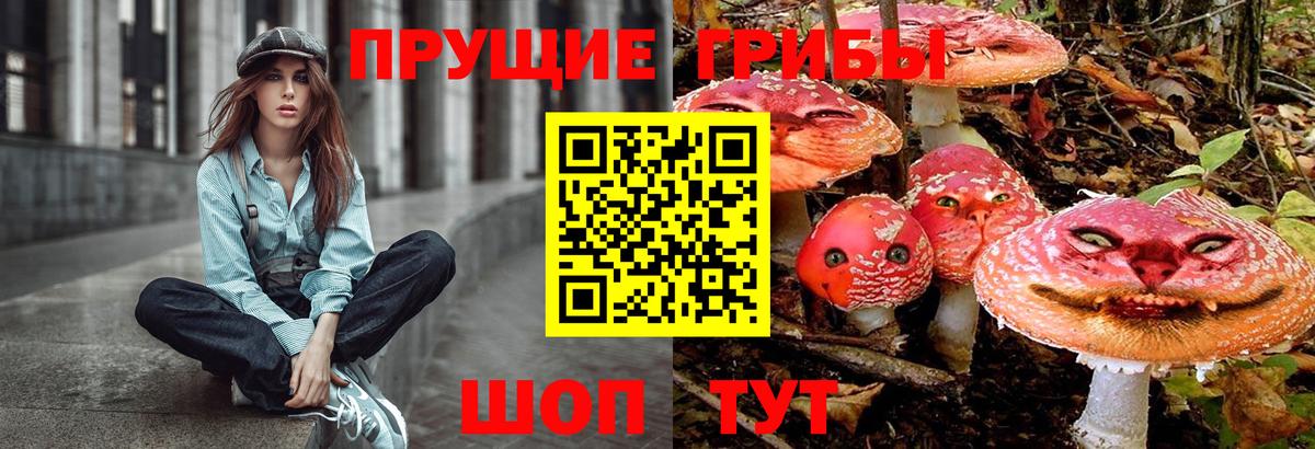 Галлюциногенные грибы MAGIC MUSHROOMS  Вход с VPN  Новошахтинск 